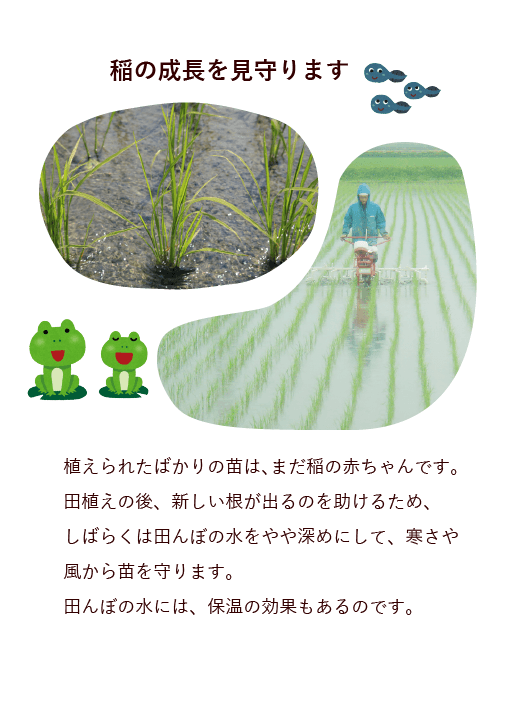 もりかわ農場